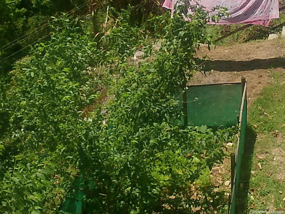 Mountain View Homestay Kalimpong Zewnętrze zdjęcie