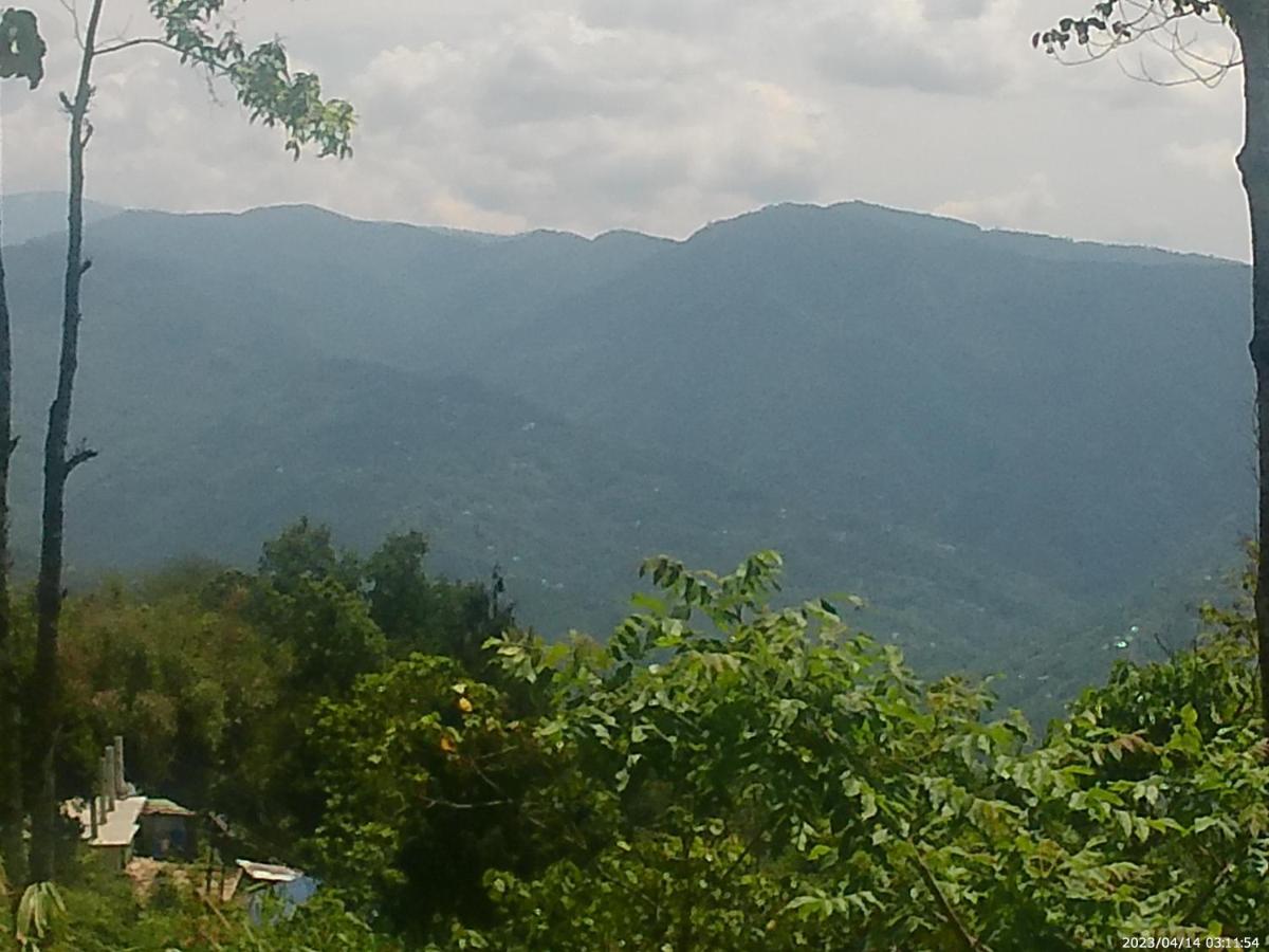 Mountain View Homestay Kalimpong Zewnętrze zdjęcie